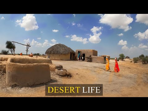 Village & Tribal Life and culture of Cholistan Desert near Pak-India Border