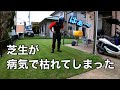 トップグラス殺菌剤使用【芝生の病気対策】