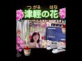 11502🌈虹菱說唱練習曲分享~津輕の花(唄:原田悠里)