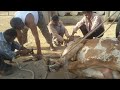 Amazing Buffalo Hoof Iron Nail Fitting Process | Factory Business Video