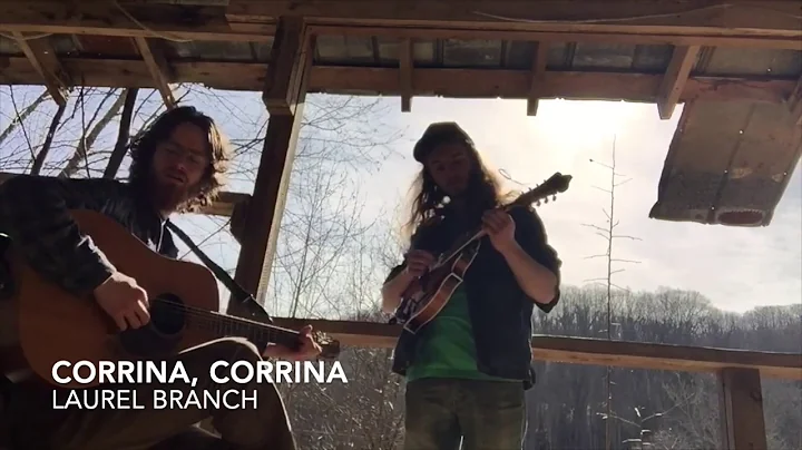 Laurel Branch - Corrina, Corrina