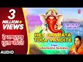      hey ganraya tula vandite  karunakara lambodra  anuradha paudwal