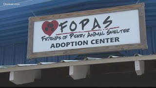 Friends of Perry Animal Shelter sees low adoptions, overabundance of animals