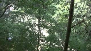 Pine Hills Nature Preserve in Indiana
