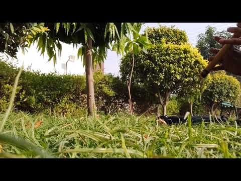 राधे कृष्णा🙏