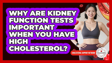 Why Are Kidney Function Tests Important When You Have High Cholesterol?