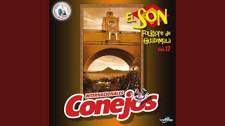 Video thumbnail of "Internacionales Conejos - Virgen de Guadalupe"