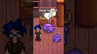 How To Get Purple Pets Stardew Valley!