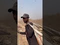I Found Gold in trash ?