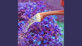 Dream Like Backdrops for Favorite Imaginations
