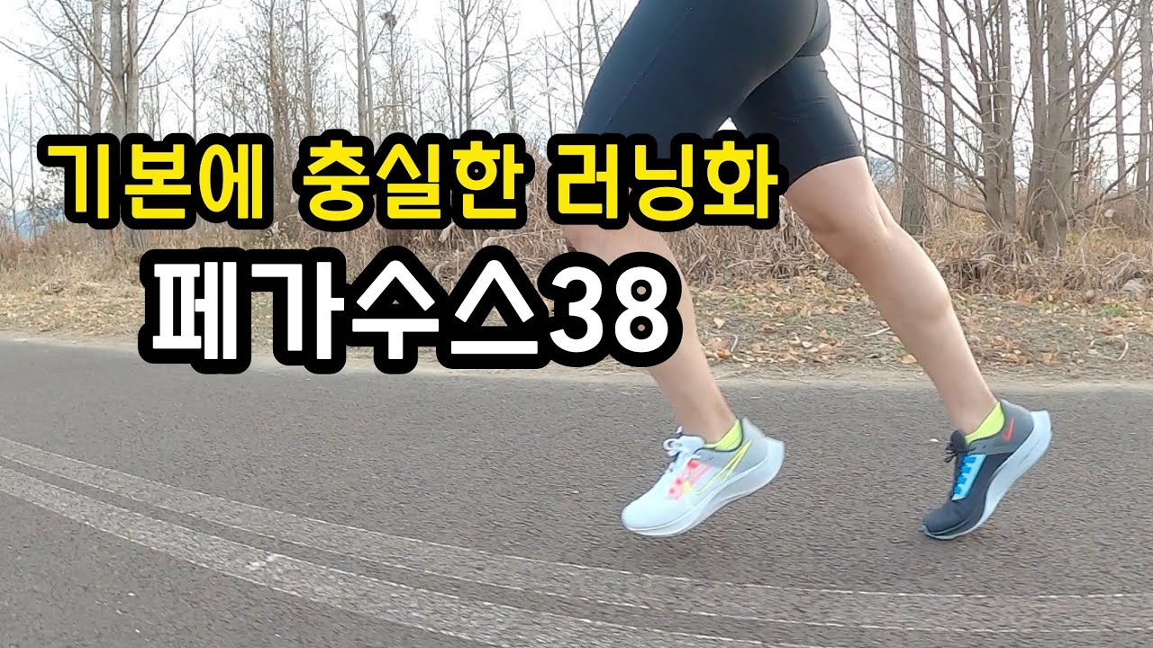 pegasus 34 vs winflo 4