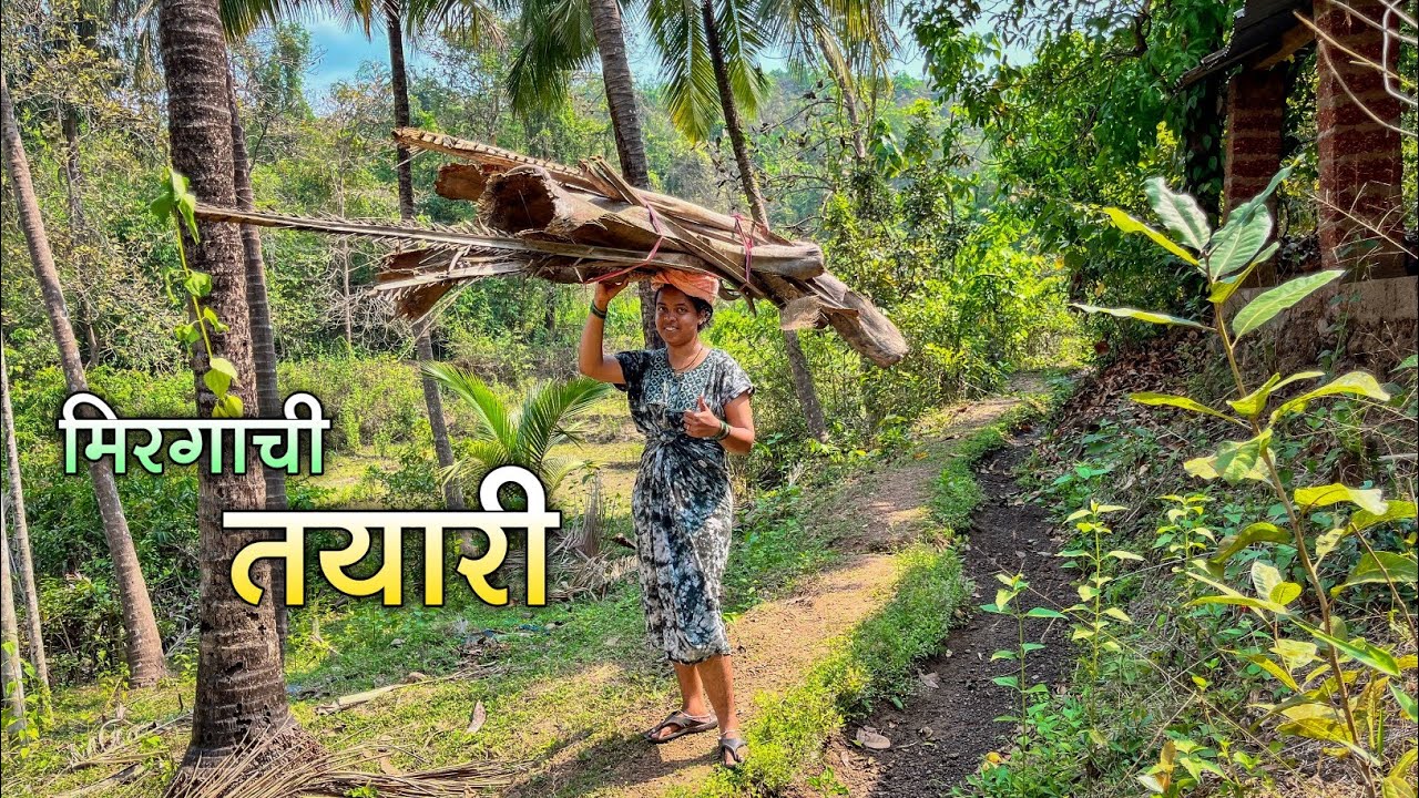 बागेतील लाकडं केली गोळा|कोकणात सध्या पावसाच्या आधीची कामं जोरात|वानर खातात आंबे