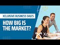 How big is the market   xcllusive business sales