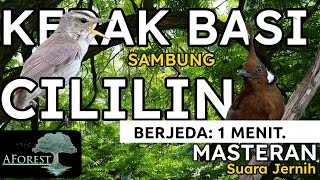 MASTERAN MURAI BATU || KERAK BASI SAMBUNG CILILIN Tembakan Tajam screenshot 5