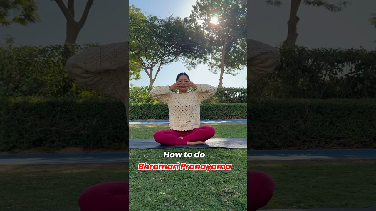 How to do Bhramari Pranayama 