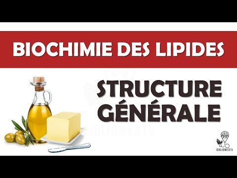 Vidéo: Que signifient les lipides non saponifiables ?