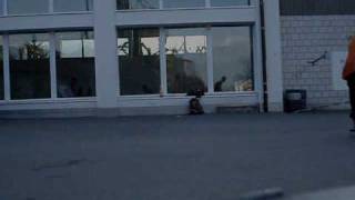 nollie bigheel & switch tre revert