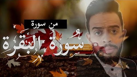 من سورة البقرة||القارئ شريف مصطفى||تلاوة هادئة تريح القلب 💚||صوت هادئ للنوم💤