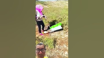 Máy cắt cỏ Trung Quốc lạ quá #farming #agriculture