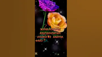 ЖУМА МУБОРАК JUMA MUBORAK SHORTS BETA 
