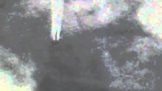SUNP0028.AVI