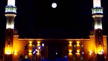 الشيخ عاصم اللحيدان - سورة الحجرات من آية (٦-١٣)