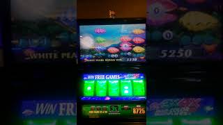 11-1-2018 $220.75 White Pearl 🎰 free games win but Maricel is my Pearl of Great Price & I 😍 her!😘