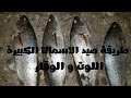 طريقة صيد الاسماك الكبيرة اللوت و الوقار بالطعم الحي 