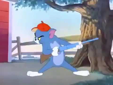 قناة فارة وزون 