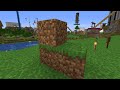 Twenty Minute Video of me placing Dirt on Dream SMP