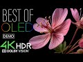 Dolby Vision 4K HDR 120fps on EPIC OLED - Unbelievable Quality