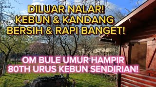 GREBEK KEBUN BUAH OM BULE UMUR 79TH, KEBUN DAN RUMAHNYA BIKIN KAGUM!! 🇷🇴