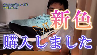 【New Balance】 FuelCell REBEL V2 新色を購入しました！