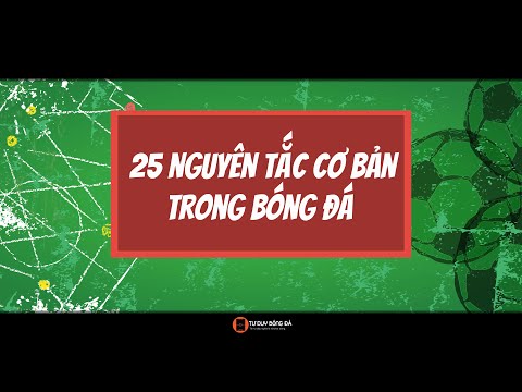 Video: Bản in bóng là gì?