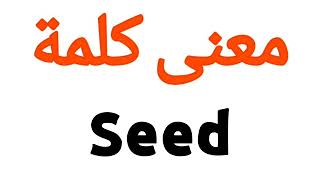 معنى كلمة Seed | الصحيح لكلمة Seed | المعنى العربي ل Seed | كيف تكتب كلمة Seed | كلام إنجليزي