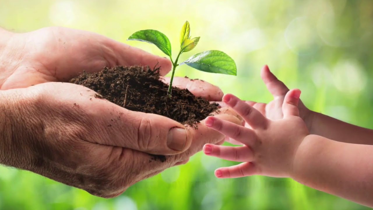 Tax Planning Event Trailer