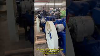 Chinese diesel engine manufacturer,the brand new engine#manumanufacturer #weichai#sinotruck
