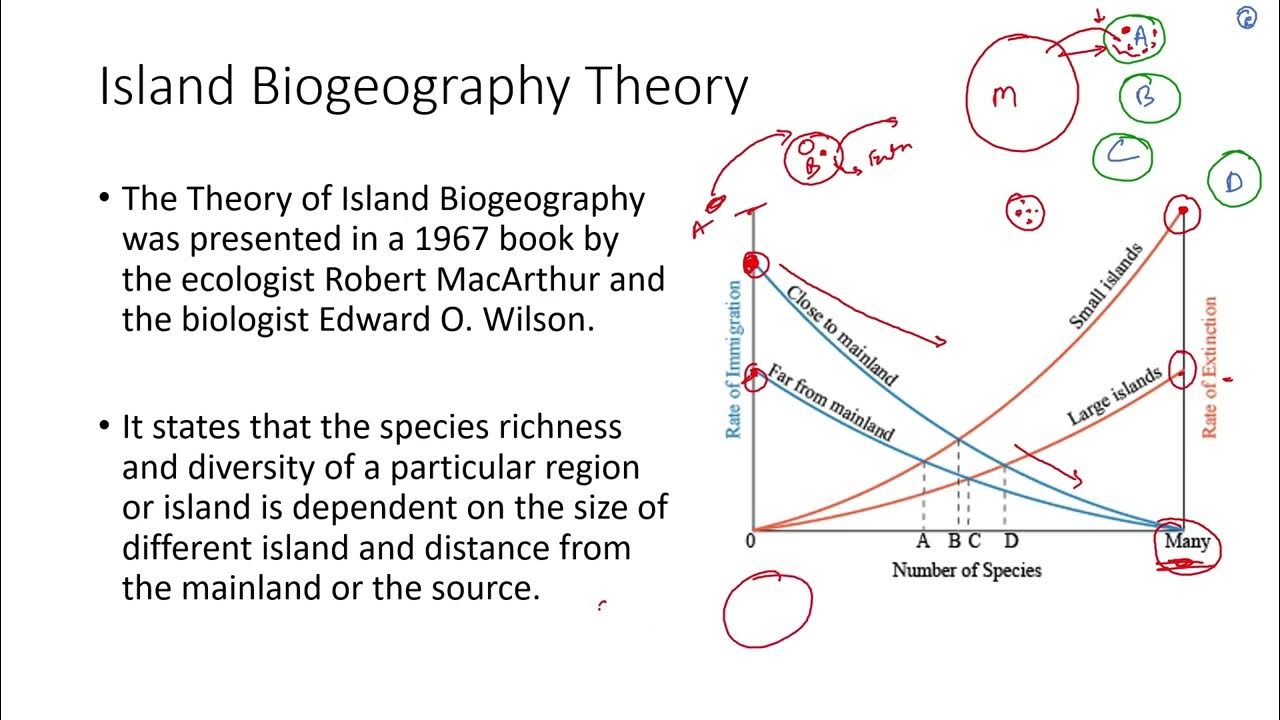 island-biogeography-theory-gate-ey-ecology-and-evolution-youtube