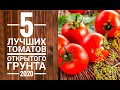 5 лучших сортов томатов для открытого грунта 2020г.