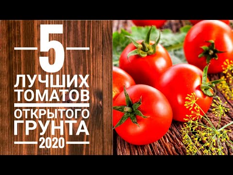 5 лучших сортов томатов для открытого грунта 2020г.