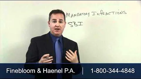 Serious Bodily Injury & Fatality Traffic Accidents - Mandatory Infractions