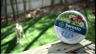 Pet owners say Seresto flea collars hurt, killed their dogs | WPXI