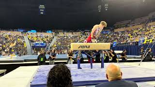 Nathan York PH NCAA Championships 2025 Day 2