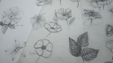 How to simplify drawing roses and flowers.