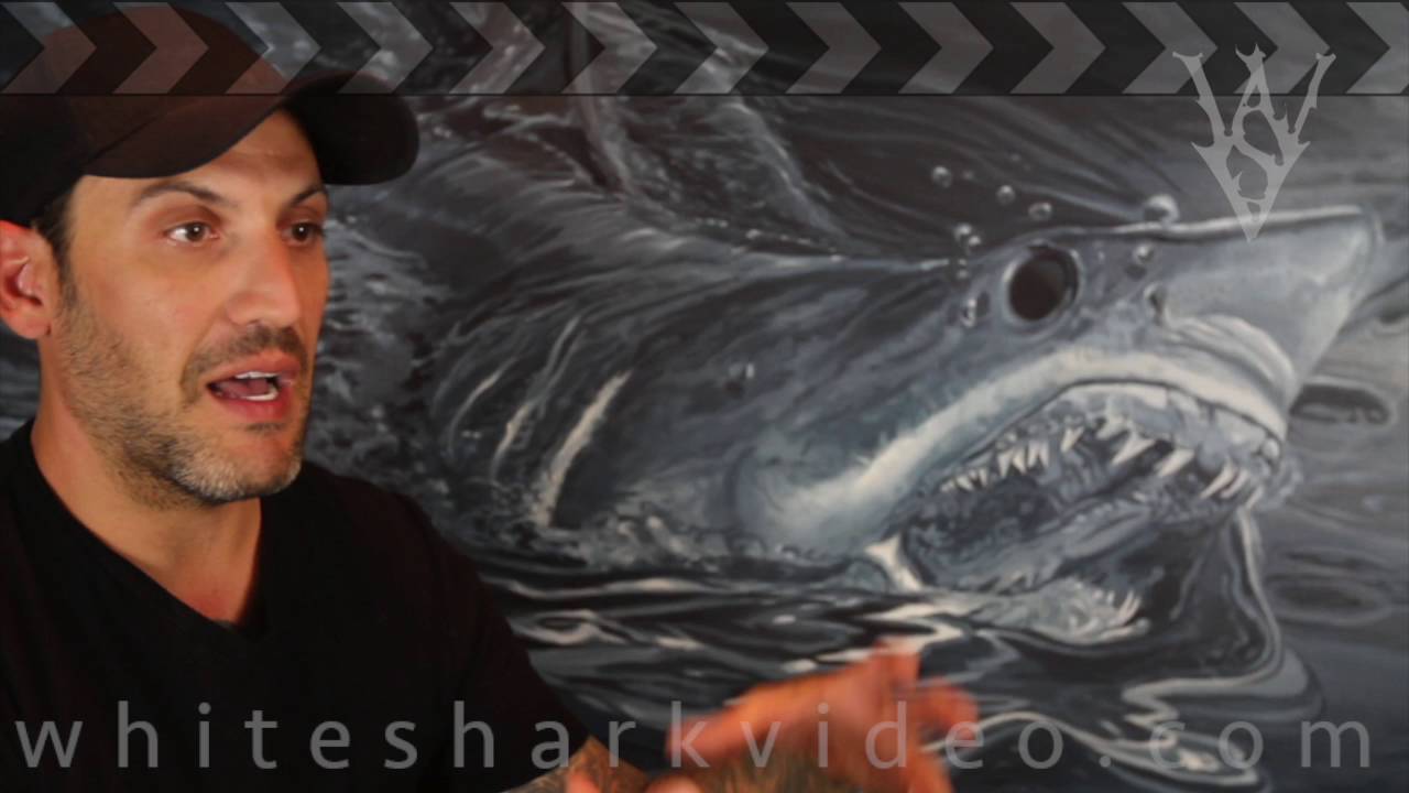 shark video cape cod Joe Romeiro talks blue sharks with Skyler Thomas