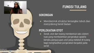 Sains Sukan Tingkatan 4 - Sistem Rangka