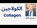 الدكتور محمد فائد || الكولاجين وأهميته