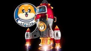 Shiba Neden 9 Mayis 2024E Kadar Hodl Di̇yorum Resimi