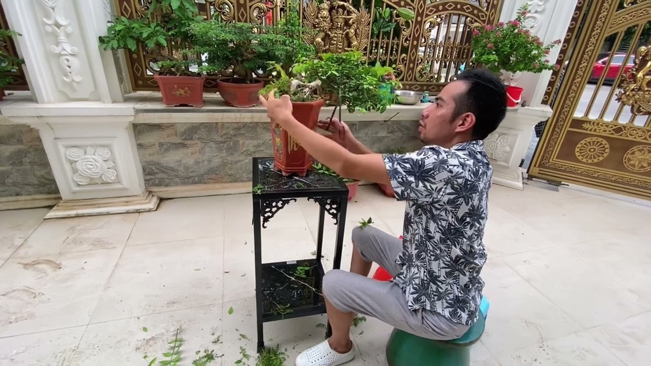 Chuyện Tâm Linh không đùa được đâu, sở dĩ tôi dậy sớm... - youtube