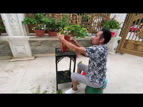 Video Chuyện Tâm Linh không đùa được đâu, sở dĩ tôi dậy sớm... - youtube